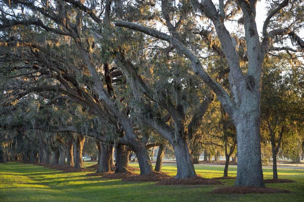 The Lodge At Sea Island St. Simons Island Facilities photo