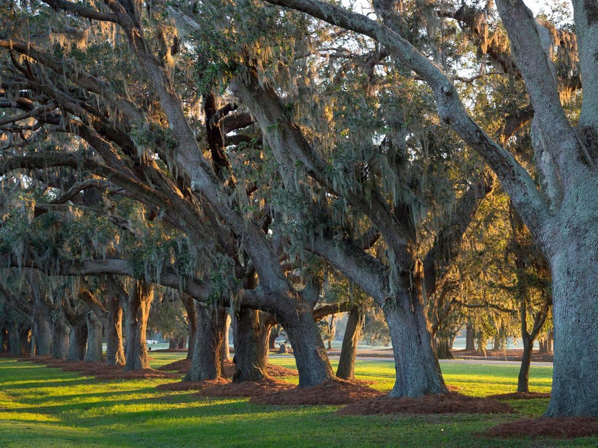 The Lodge At Sea Island St. Simons Island Exterior photo